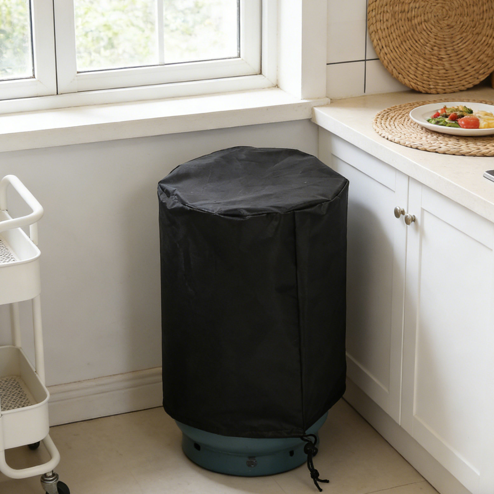 22 Lb Small Gas Cylinder Prote - Camping Cooking Backpack avaliação e preço