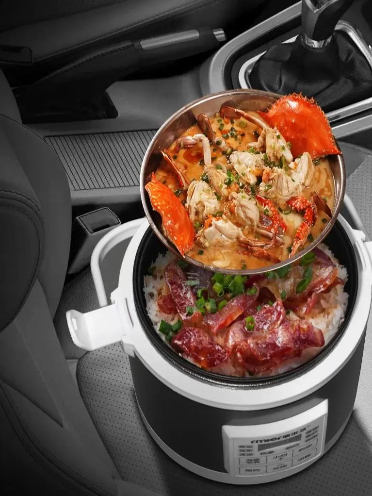 ARIER 12-24V 220V Rice Cooker  - Camping Cooking Rice avaliação e preço